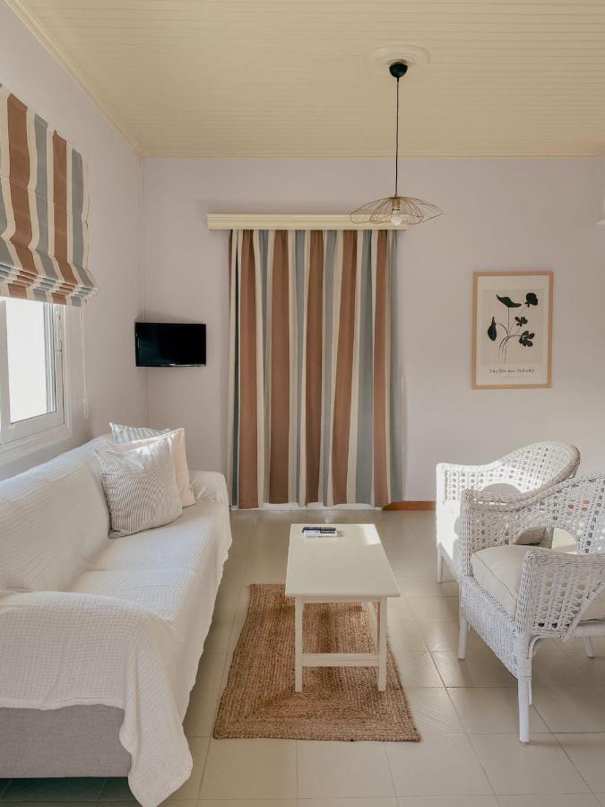 Blue House Apartments Vasilikí Dış mekan fotoğraf